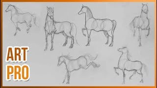 How to draw HORSES step by step 🐎 METHOD [upl. by Jem]