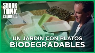 Un jardín con platos biodegradables  Shark Tank Colombia [upl. by Aneeles]