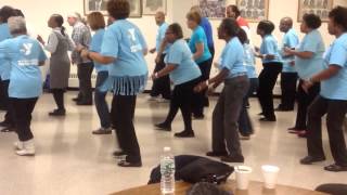 quotRoll it Roll itquot WEY Line dancers [upl. by Martz]