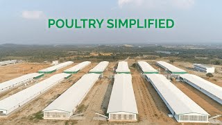 Dhumal Industries  Poultry Simplified [upl. by Hollyanne]