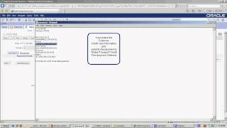 Siebel CRM Demo [upl. by Nodanrb]