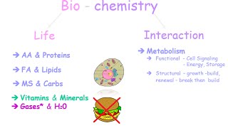 An Introduction to Biochemistry [upl. by Kloster]