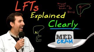 Liver Function Tests LFTs Explained Clearly by MedCramcom [upl. by Just728]