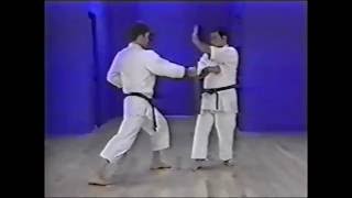 Goju ryu kata Saifa Bunkai [upl. by Adorne]