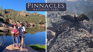 Pinnacles National Park  High Peaks Trail and Condors [upl. by Daniels580]