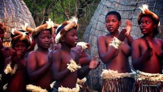 Beautiful Traditional African Zulu Dancing Africa Travel Channel [upl. by Sallee235]