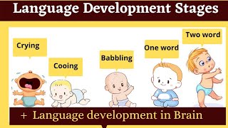 language development stages in childhood  babbling cooing [upl. by Nayrda140]