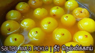 Neer Nellikkai in Tamil  நீர் நெல்லிக்காய் [upl. by Lleze]