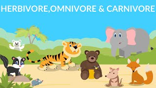 Herbivores  Carnivores  Omnivores  Types of Animals [upl. by Intihw]