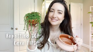 How to Repot String of Pearls plant  Care Tips  Chatty repot with me [upl. by Fancie951]