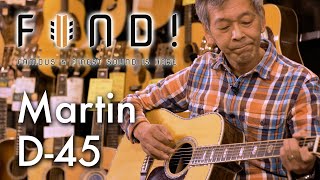 FIND Vol8 Martin D45 [upl. by Hollah696]