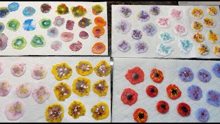 Creating Fused Glass Flower Elements [upl. by Ehud]