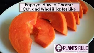 Papaya How to Choose Cut and Enjoy from PlantsRule [upl. by Hadihahs]