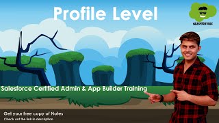 What is Profile Level Object Level Security in Salesforce  Types of Profile [upl. by Dodd]