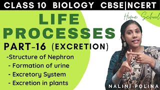 Life Processes class 10  Biology  Excretion  Part16 [upl. by Sira709]