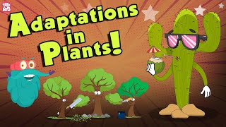 Adaptations In Plants  What Is ADAPTATION  The Dr Binocs Show  Peekaboo Kidz [upl. by Nwahsir570]