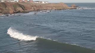 Coldingham Bay [upl. by Zeitler]