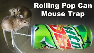 How to catch mice with a pop can and a coat hanger DIY Mousetrap Mousetrap Monday [upl. by Marline716]