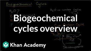 Biogeochemical cycles  Ecology  Khan Academy [upl. by Nnylorac]