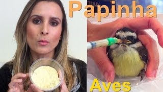 Como alimentar filhote de aves  Calopsita  Papinha [upl. by Worra]