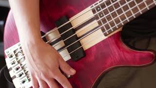 Bartolini MK1 vs MK5C bass pickups [upl. by Cantu]