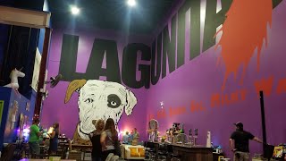 Lagunitas Taproom Brewery Tour  Chicago IL [upl. by Dnilazor151]