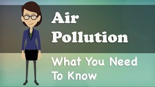 Air Pollution  What You Need To Know [upl. by Chicky]