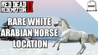 Rare White Arabian Horse Location Red Dead Redemption 2 [upl. by Zed]