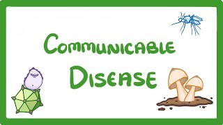 GCSE Biology  Communicable Disease 34 [upl. by Coco789]