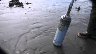 How to Dig Razor Clams With a Clam Gun [upl. by Ennael]