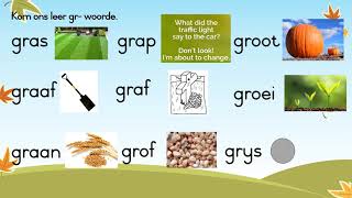 Graad 2 Afrikaans Huistaal Kw 2 Les 7 [upl. by Demetrius]