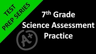 7th Grade Math Assessment Practice Day 2 [upl. by Millur384]