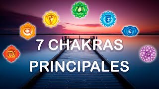 Los 7 Chakras Principales  Ciencia del Saber [upl. by Karie28]