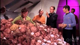 Star Trek The Original Series  1771561 Tribbles [upl. by Nassah570]