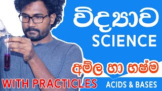 Grade 117 Science Acids and basesඅම්ල හා භෂ්ම acids and bases practicalthe academy slsinhala [upl. by Witherspoon]