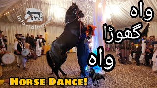 Amazing Horse Dance with Dhool in Pakistan  Mehndi Function in Islamabad [upl. by Wan]