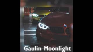 Gaulin  Moonlight Slowed and Reverb [upl. by Melinda912]