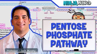 Metabolism  Pentose Phosphate Pathway [upl. by Aritak]