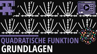 Quadratische Funktion Grundlagen│Mathematik Lernvideo Learning Level Up [upl. by Junius]