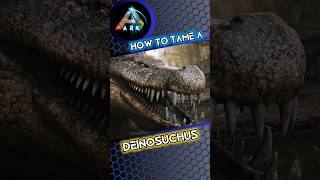 ARK How to Tame a Deinosuchus [upl. by Nynnahs]