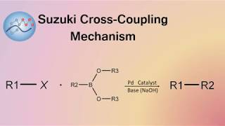 Suzuki CrossCoupling Mechanism  Organic Chemistry [upl. by Aicinad]