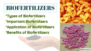 Biofertilizers [upl. by Cassey491]