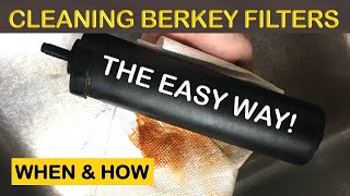 WHEN amp HOW TO CLEAN THE BERKEY WATER FILTER [upl. by Melliw]