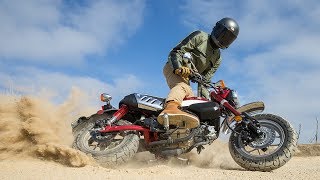 2019 Honda Monkey Review  First Ride [upl. by Nnaitak]