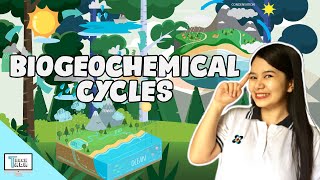 Biogeochemical Cycles  Biology [upl. by Noreh]