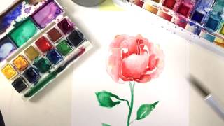 Rose malen  MODERNES AQUARELL [upl. by Enitsej]