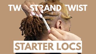 Two Strand Twist Starter Loc Tutorial  DaishaView [upl. by Skelton]