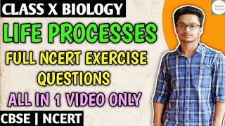 Full Ncert Exercise Solutions Ch6 Life Processes Class 10 Science [upl. by Kurtzig]