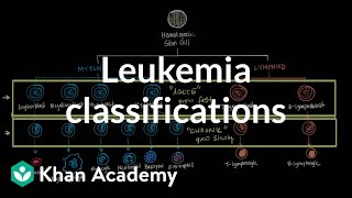 Leukemia classifications  Hematologic System Diseases  NCLEXRN  Khan Academy [upl. by Drisko]