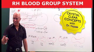 Rh Blood Group System  Dr Najeeb [upl. by Aiekal]